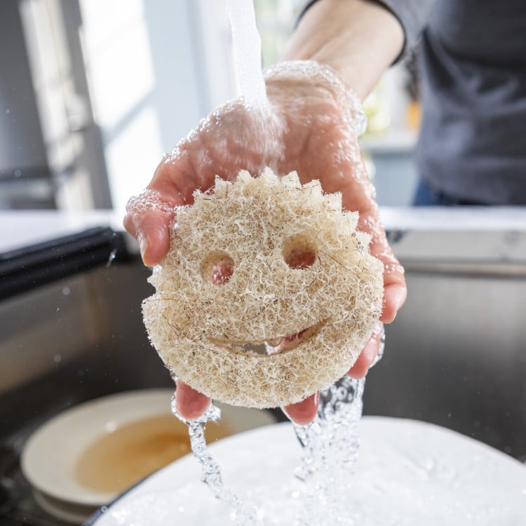 Scrub Daddy CocoMesh Scrubber (XQXN)